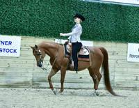 HA/AA Western Pleasure 30, 36, 65, 88