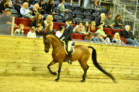 63 Hunt Seat Eq NTJ JTR 14-18
