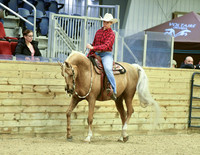 Schooling Classes 8, 9, 10