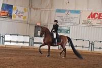 021 Arabian Show Hack Open