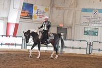022 HA/AA Western Pleasure Ladies & Gentleman