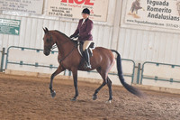 024 HA/AA Hunter Pleasure Limit Horse
