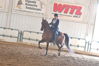 027 HA/AA Country English Pleasure ATR