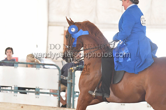 028_5423FB