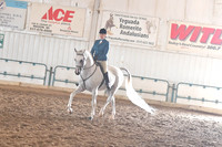 030 Arabian Hunter Pleasure AATR