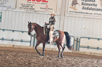 031 Arabian Western Pleasure JTR