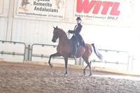032 Saddle Seat Equitation JTR 15-18