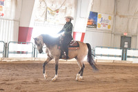 036A HA Western Pleasure Jr Horse