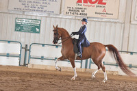 040 Saddle Seat Equitation JTR 14 & Under