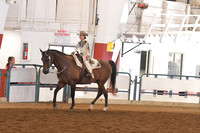 045 A/HA/AA Walk/Jog Western Pleasure 10 & Under