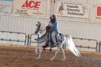 048 Arabian Mounted Native Costume Open