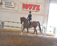 049 A/HA/AA Hunter Seat Equitation JTR 14 & Under