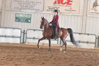 050 HA/AA Country E