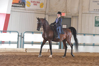 051 Walk/Trot/Jog Practice 13 & Under All Seats