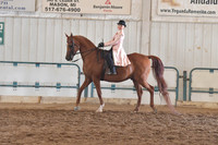 052 A/HA/AA Walk/Trot English Country Pleasure 10 & Under