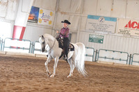 053 Arabian Western Pleasure Limit Horse