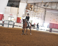099 HA/AA Sport Horse Under Saddle Open