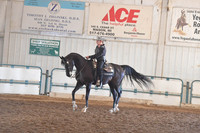 100 Arabian Western Pleasure ATR