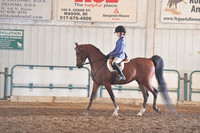 101 A/HA/AA Walk/Trot Hunter Pleasure 10 & Under
