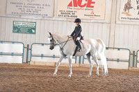 104 A/HA/AA Sport Horse