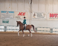 106 Arabian Hunter Pleasure ATR
