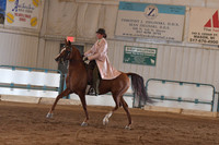 107 HA/AA Arabian Country English Pleasure AAOTR