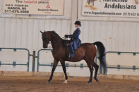 058 A/HA/AA Walk/Trot Saddle Seat Equitation 10 & Under