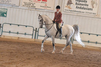 059 HA/AA Hunter Pleasure JTR 15-18