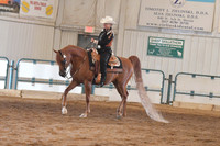061 Arabian Western Pleasure ATR Select Rider