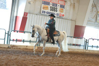 064 HA/AA Western Pleasure AAOTR