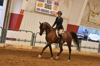 068  HA/AA  Sport Horse show Hack Open
