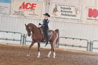 108 Western Horsemanship JTR Medal Class
