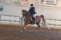 094A Arabian Hunter Pleasure AOTS