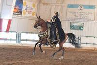 096 Arabian Mounted Native Costume ATR