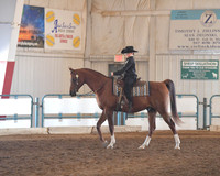 091 A/HA/AA Walk/Jog Western Seat Equitation 10 & Under