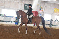 090 HA/AA Hunter Pleasure Ladies & Gentleman