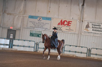 123 Terri Budd Memorial Side Saddle Supreme Championship- sponsored by Crest View Tack and WMAHA- Entry Fee is by Donation. This years charity is The Horsemens Distress Fund