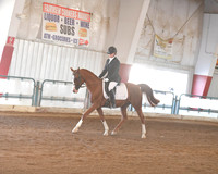 125 Arabian Sport Horse under Saddle ATR