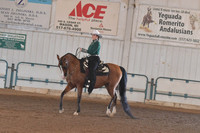 126 Arabian Western Pleasure JTR 15-18
