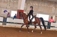 127 HA/AA Sport Horse Under Saddle ATR