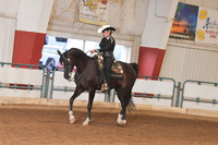 133 Arabian Western Pleasure AAOTR 40 & Over