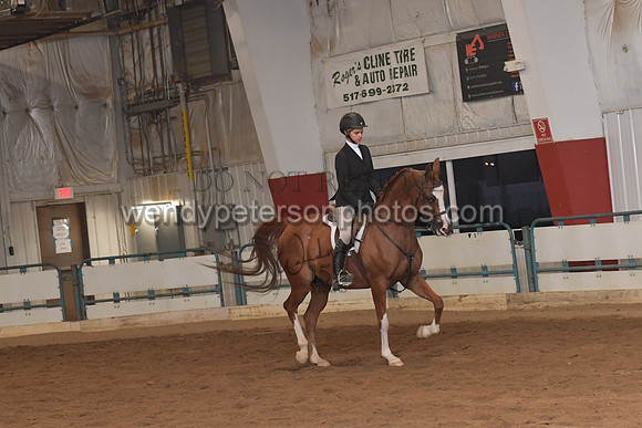 135_8128HighRes300dpi_PRINTto20%22