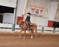 137 Western Horsemanship AATR