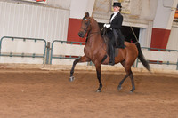 138 AHA Saddle Seat Medal JTR