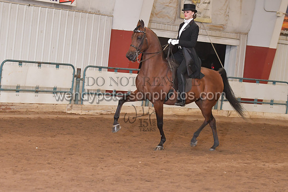 138_8165HighRes300dpi_PRINTto20%22