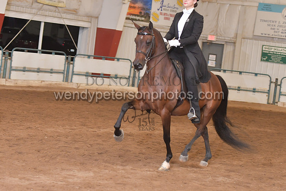 138_8171HighRes300dpi_PRINTto20%22