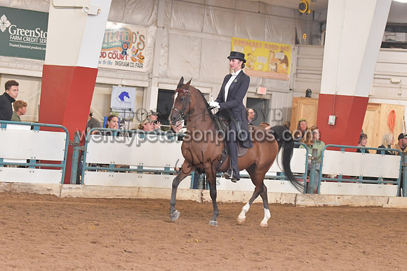 138_8172HighRes300dpi_PRINTto20%22