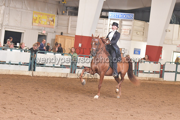 138_8174HighRes300dpi_PRINTto20%22