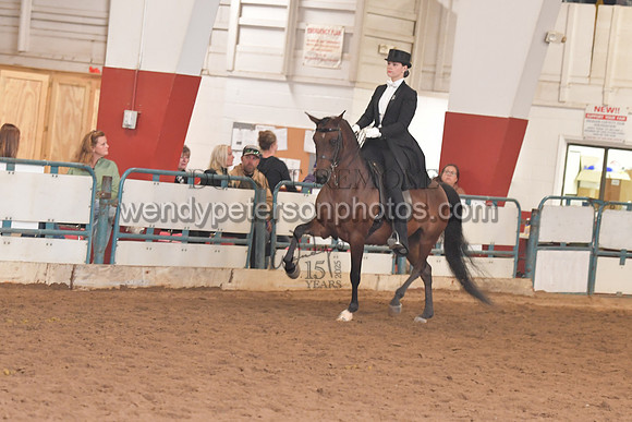 138_8176HighRes300dpi_PRINTto20%22