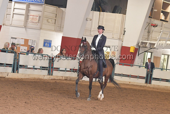 138_8181HighRes300dpi_PRINTto20%22